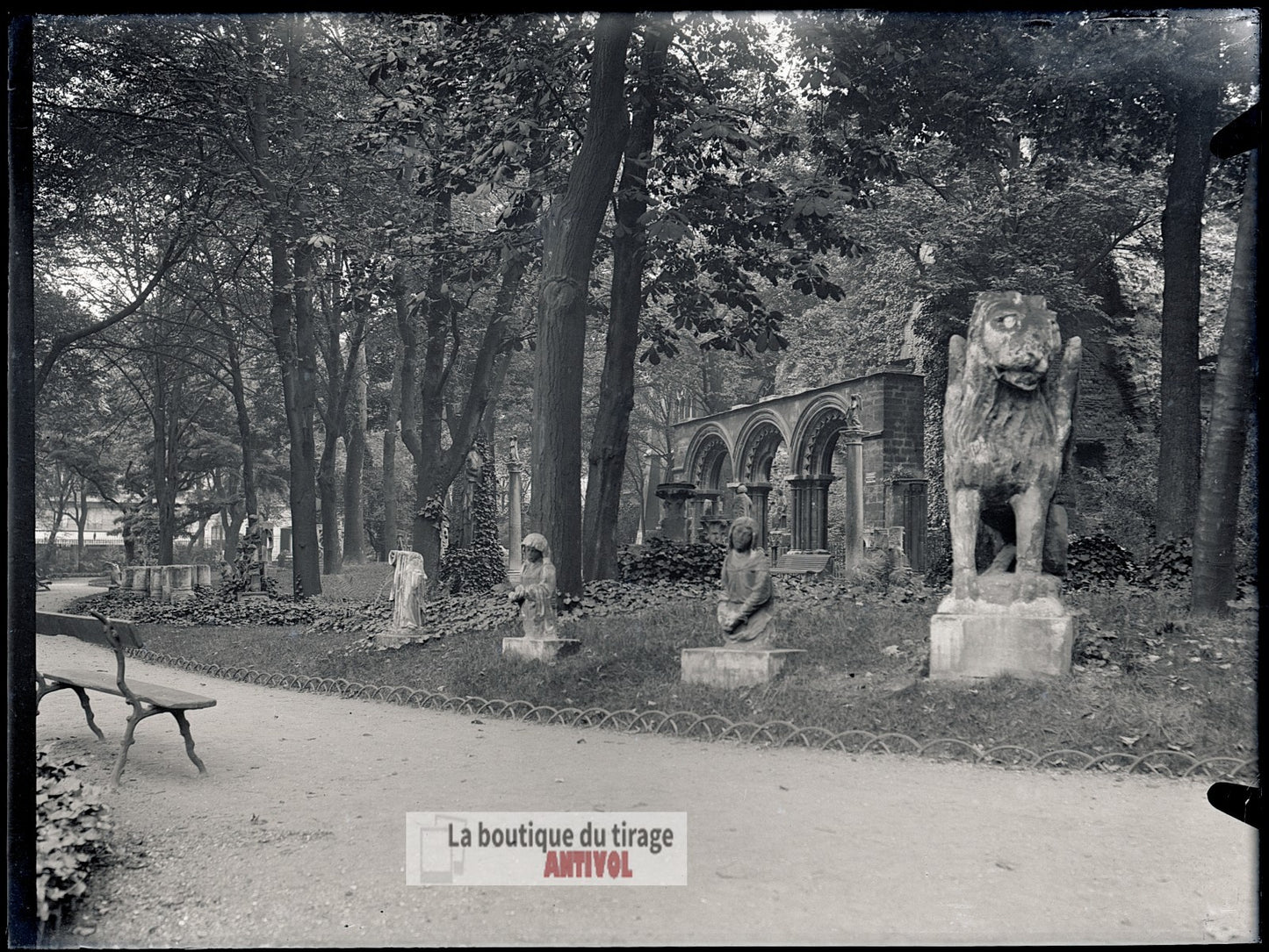 Jardin du Musée de Cluny, Paris, plaque verre, photo ancienne, négatif 9x12 cm