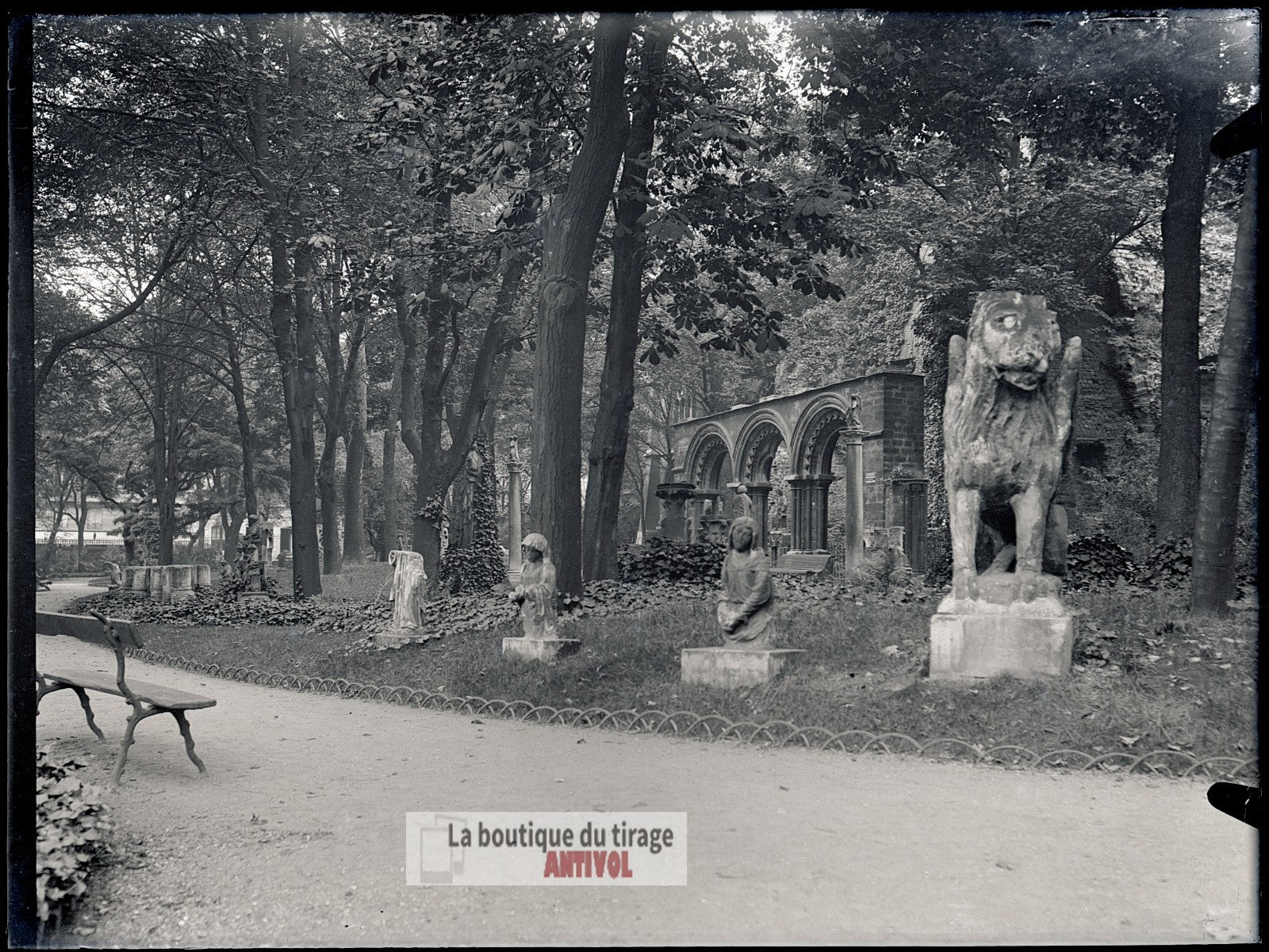 Jardin du Musée de Cluny, Paris, plaque verre, photo ancienne, négatif 9x12 cm