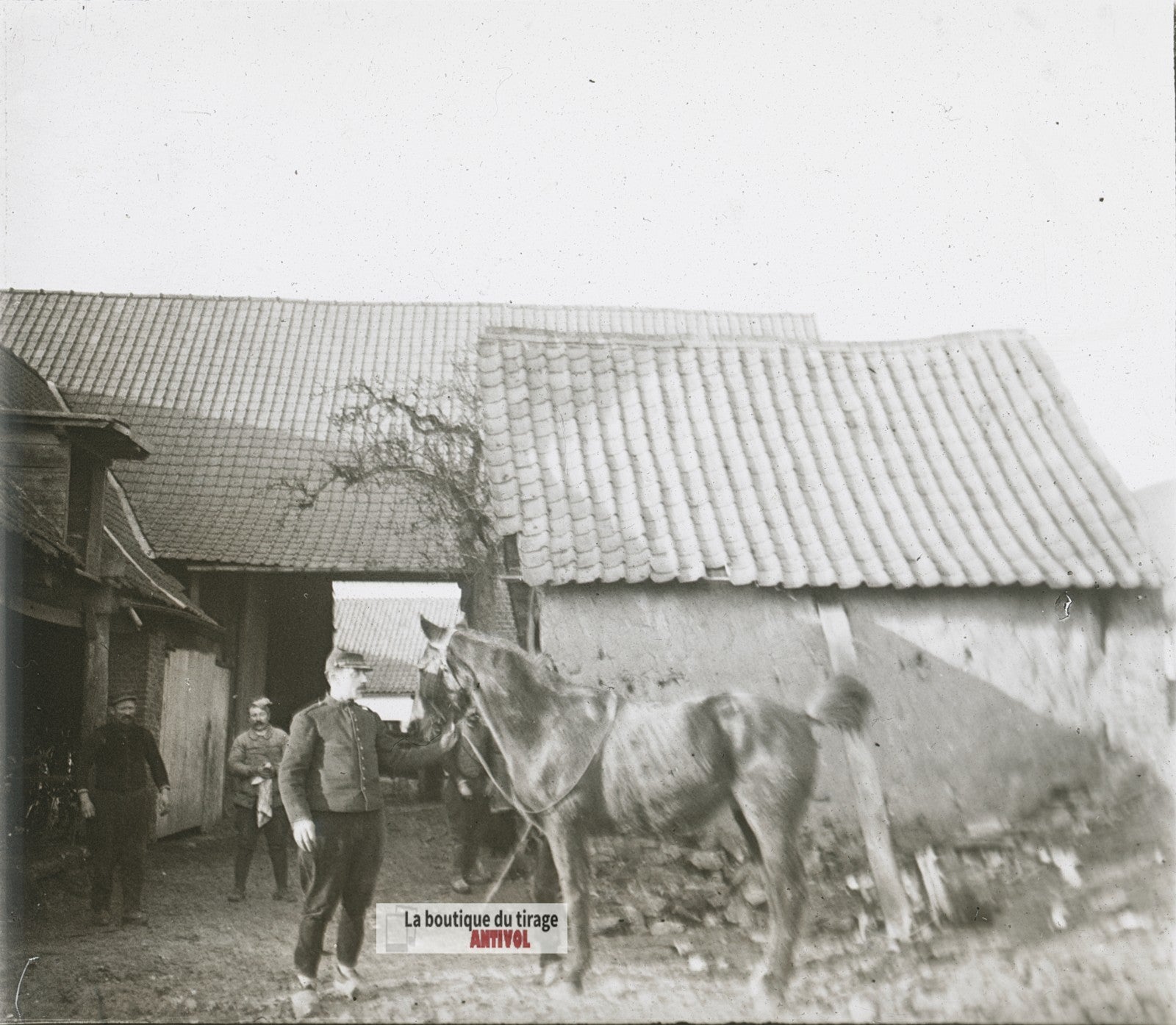 Soldat cheval, Front français, WW1, plaque verre photo ancienne stéréo 6x13 cm