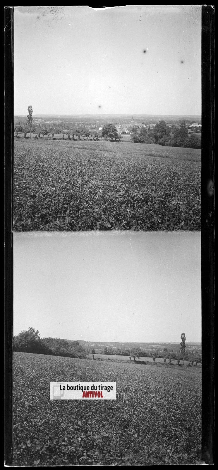 Champs, paysage France, plaque verre, photo ancienne, négatif N&B 6x13 cm