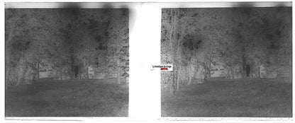 Jardin, forêt, Plaque verre photo stéréo, négatif noir & blanc 4,5x10,7 cm