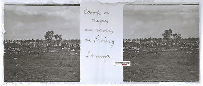 Ravin de Froissy, Plaque verre stéréo, positif ancien noir & blanc 4,5x10,7 cm