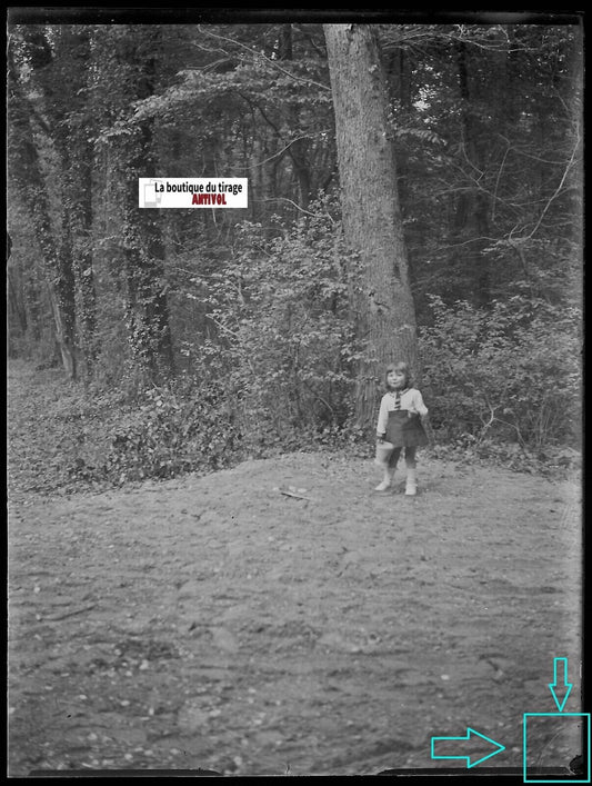 Jeune fille, bois, plaque verre photo ancienne, négatif noir & blanc 9x12 cm