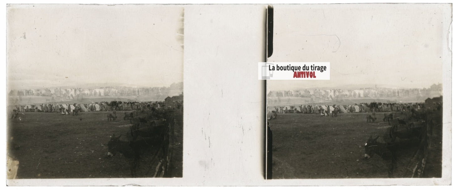 Paysage, Fès, Maroc, Plaque verre stéréo, positif noir & blanc 4,5x10,7 cm