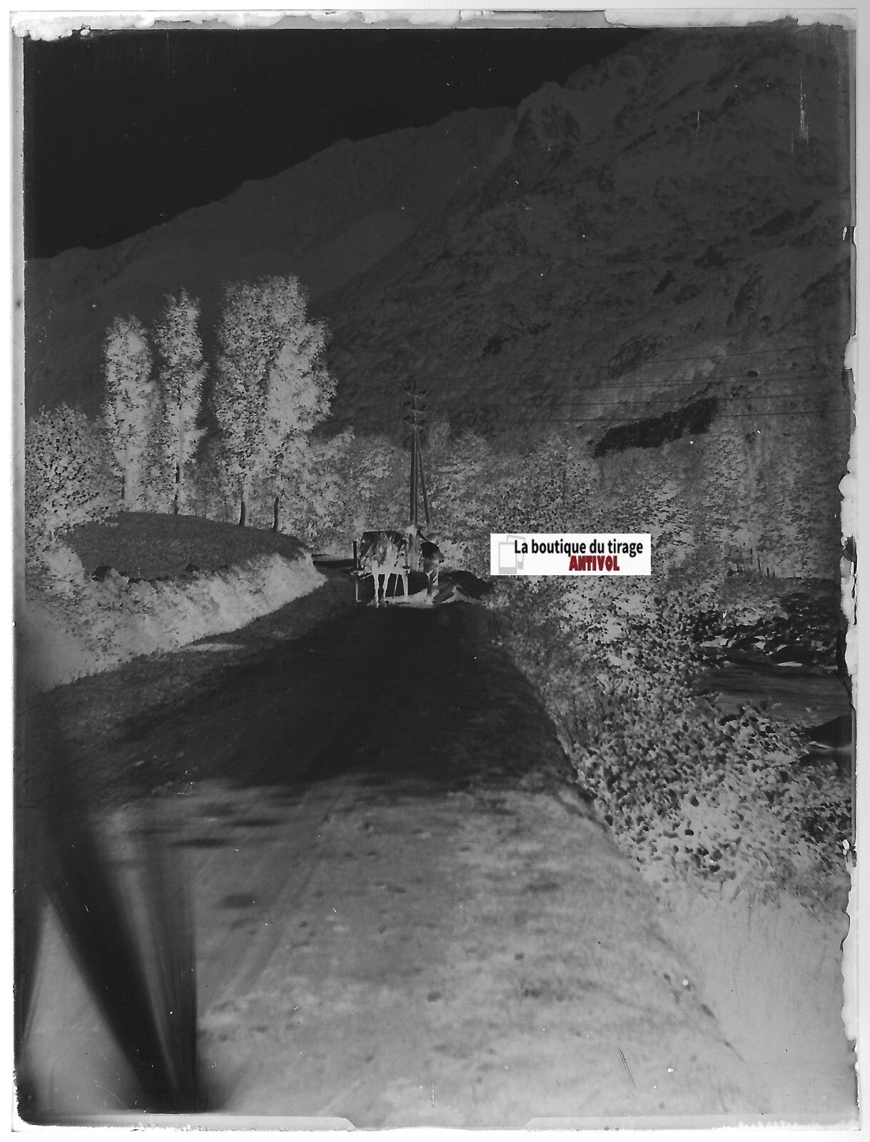 Cheval, charrette, Plaque verre photo ancienne, négatif noir & blanc 9x12 cm