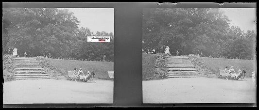 Parc public, Plaque verre photo stéréoscopique, négatif noir & blanc 4,5x10,7 cm