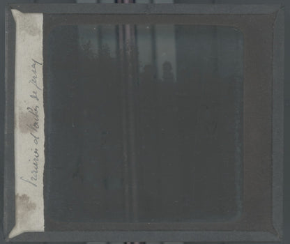 Vaches de Jersiaise, campagne, photo ancienne plaque de verre, positif 8,5x10 cm