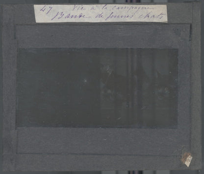 Bande de jeunes chats, dessin, photo ancienne plaque de verre, positif 8,5x10 cm