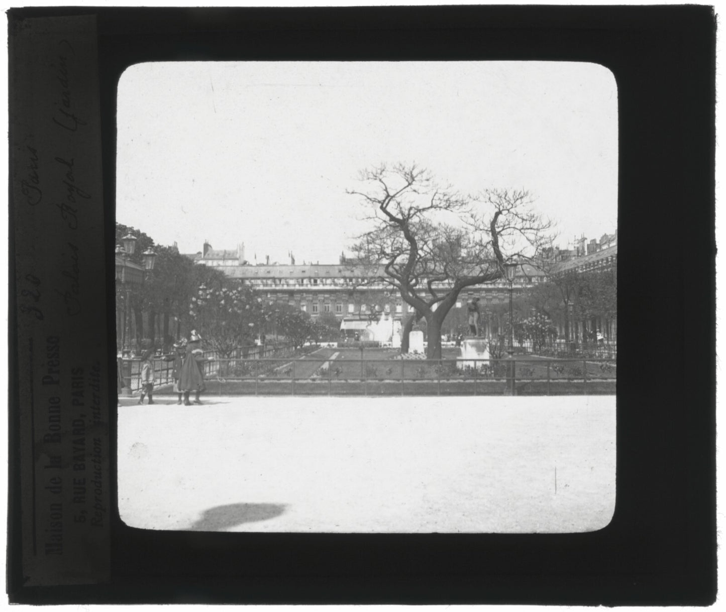 Jardin Palais Royal, Paris, photo ancienne plaque verre, positif 8,5x10 cm