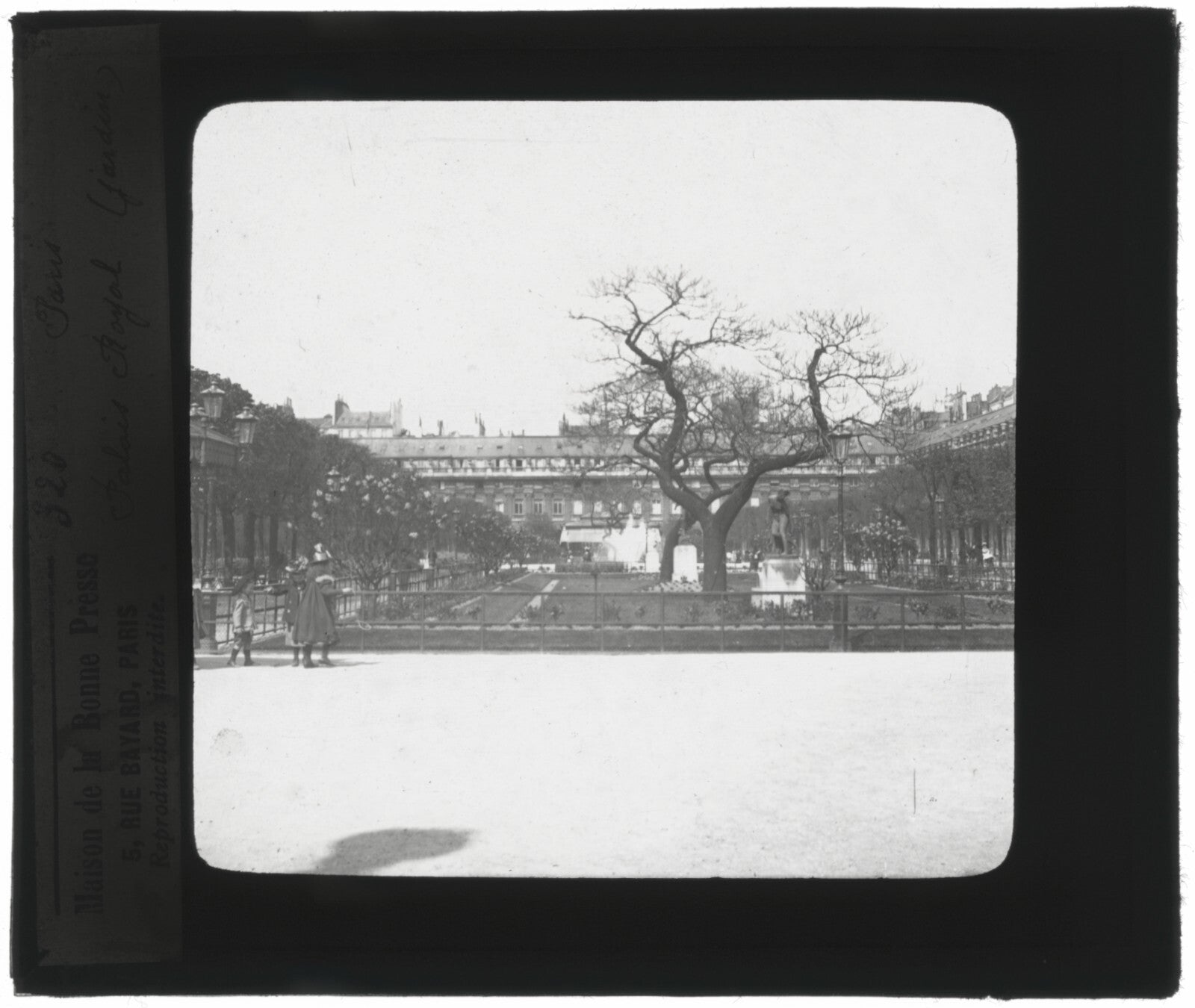 Jardin Palais Royal, Paris, photo ancienne plaque verre, positif 8,5x10 cm