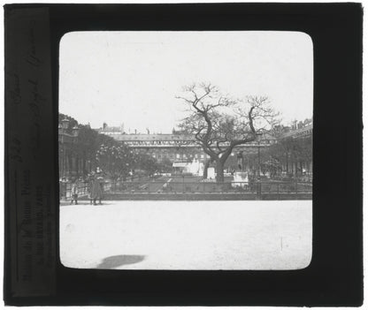 Jardin Palais Royal, Paris, photo ancienne plaque verre, positif 8,5x10 cm