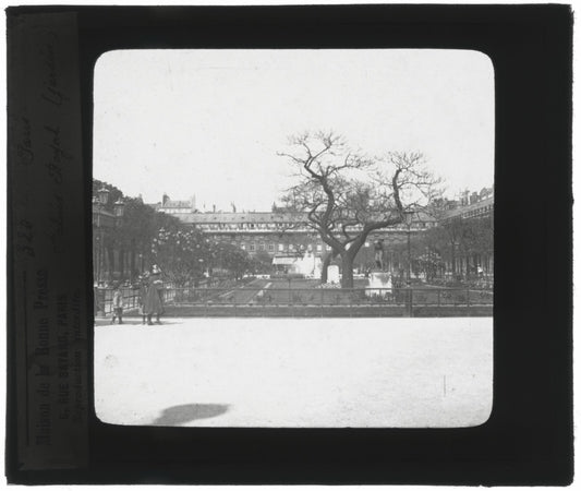 Jardin Palais Royal, Paris, photo ancienne plaque verre, positif 8,5x10 cm