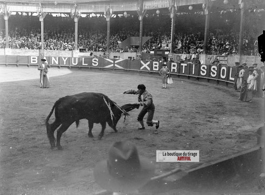 Corrida, taureau, arène, France, plaque verre photo ancienne, négatif 9x12 cm