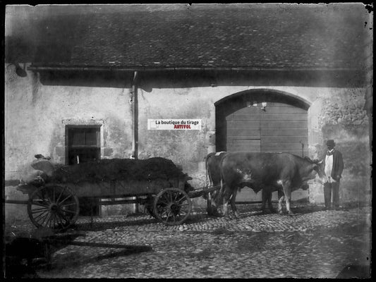 Plaque verre photo ancien négatif noir et blanc 9x12 cm remorque ferme bœufs