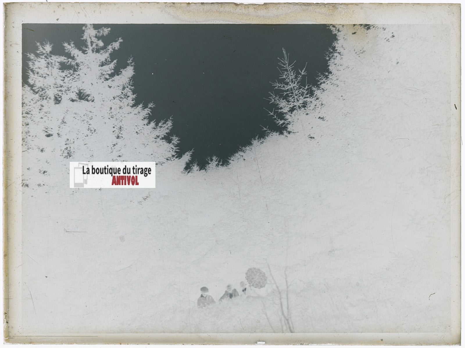 Personnage, nature, photo ancienne plaque verre, négatif noir & blanc, 9x12 cm