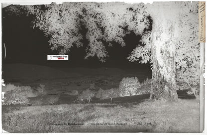 Remiremont, Neurdein, Plaque verre photo vintage, négatif noir & blanc 13x21 cm