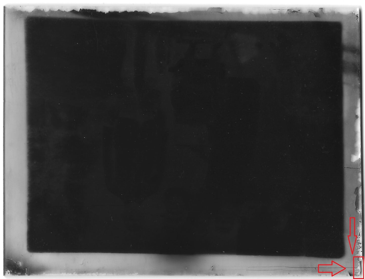 Famille, jardin, plaque verre photo ancienne, négatif noir & blanc 9x12 cm