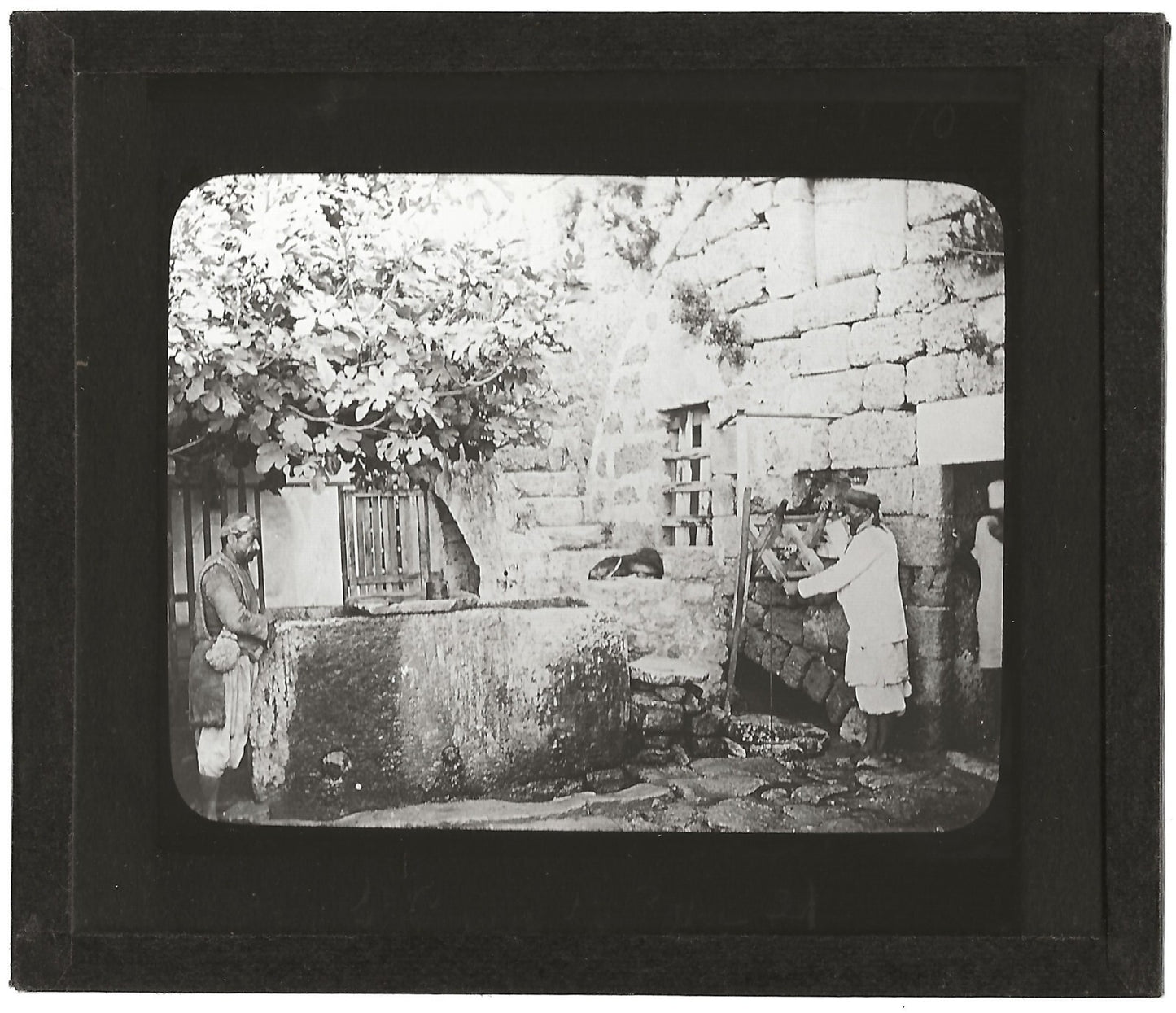 Jaffa, Simon le Corroyeur, photo ancienne plaque de verre, positif 8,5x10 cm