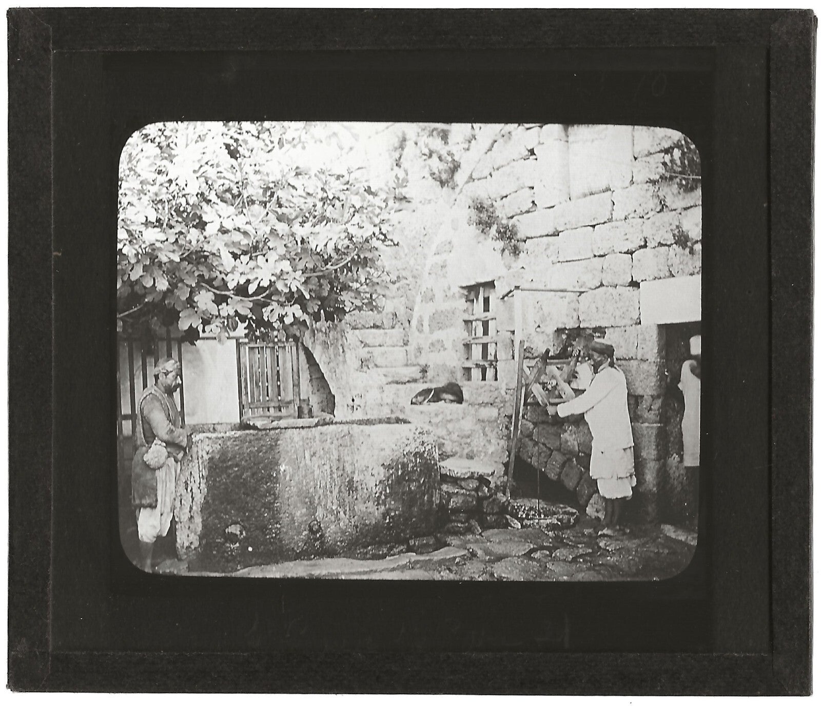 Jaffa, Simon le Corroyeur, photo ancienne plaque de verre, positif 8,5x10 cm