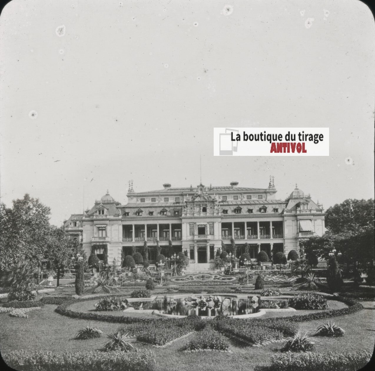 Jardin des plantes, Francfort, Allemagne, photo plaque verre, positif 8,5x10 cm