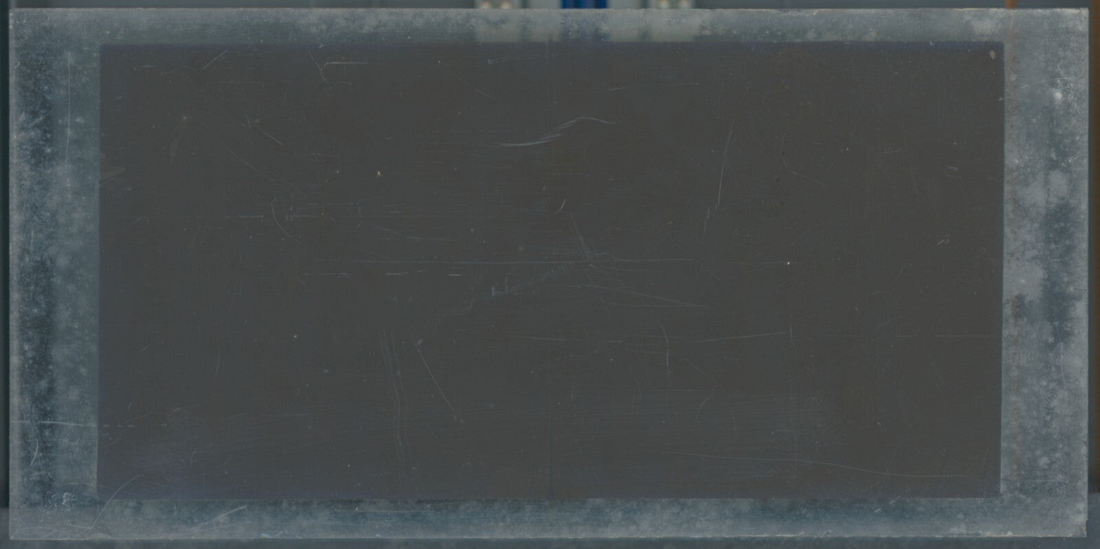 Scène de vie, Longchamp, Paris, plaque verre stéréoscopique, positif 8,5x17 cm