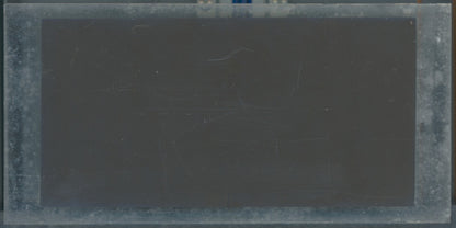 Scène de vie, Longchamp, Paris, plaque verre stéréoscopique, positif 8,5x17 cm