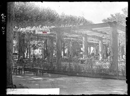 Plaque verre photo ancienne négatif noir et blanc 13x18 cm Vichy parc pergola