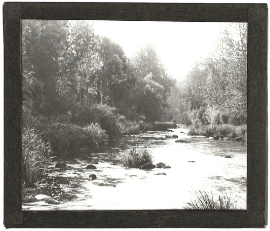 Rivière, calme, nature, photo ancienne plaque de verre, positif 8,5x10 cm