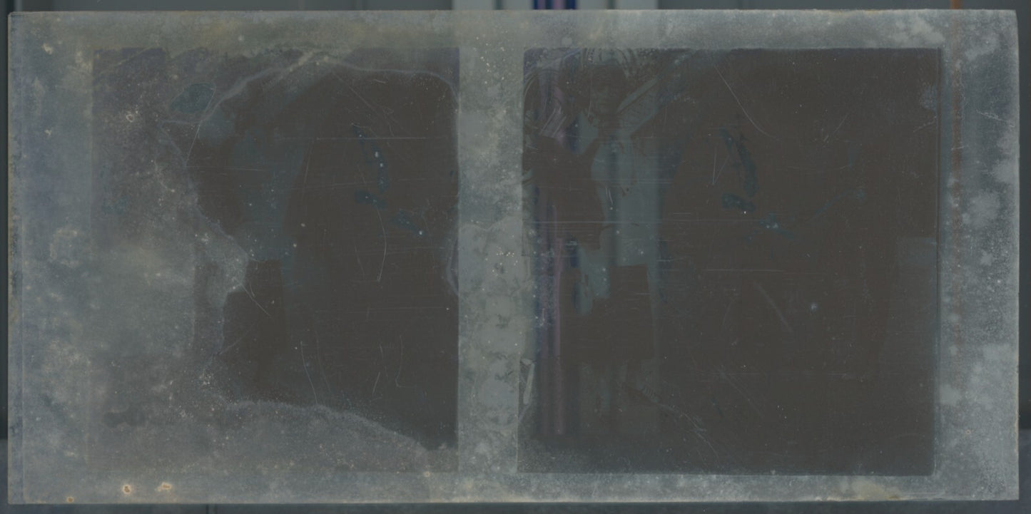 Scène de vie, Longchamp, Paris, plaque verre stéréoscopique, positif 8,5x17 cm