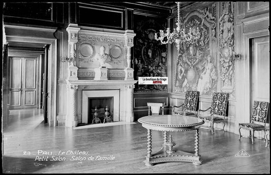 Plaque verre photo vintage, négatif noir & blanc 9x14 cm, château Pau, salon