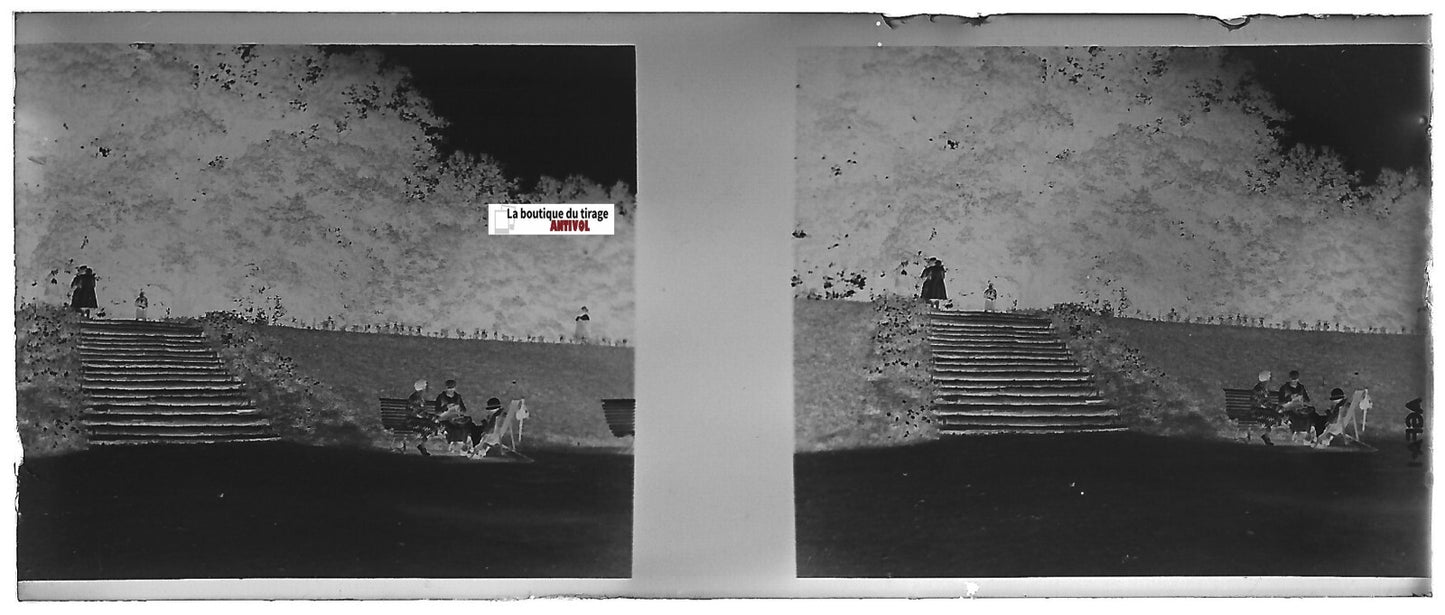 Parc public, Plaque verre photo stéréoscopique, négatif noir & blanc 4,5x10,7 cm