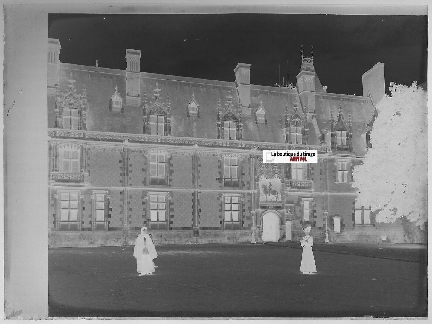 Château Royal de Blois, Plaque verre photo, négatif noir & blanc 9x12 cm