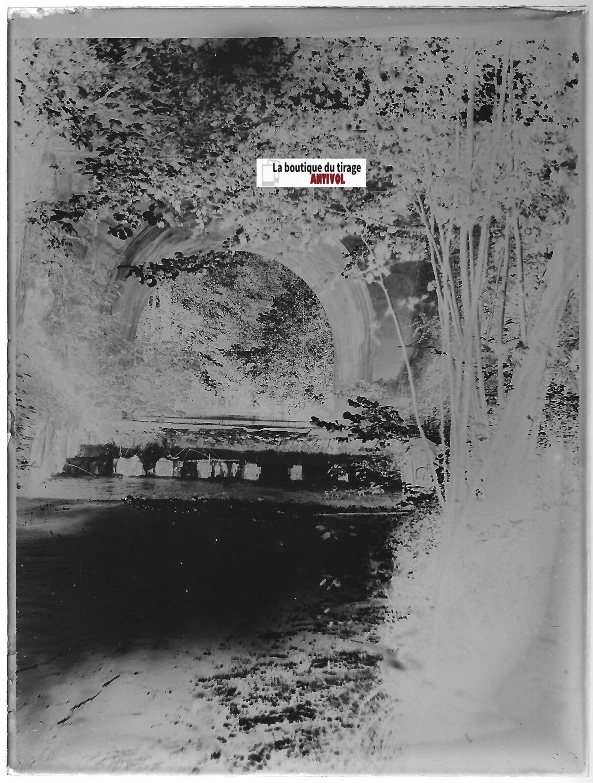 Rivière, campagne, Plaque verre photo ancienne, négatif noir & blanc 9x12 cm