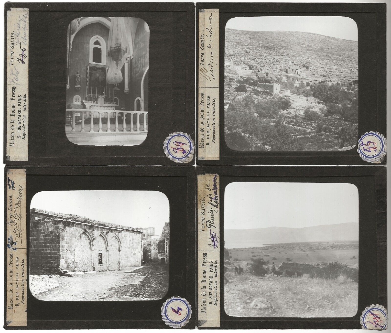 Chypre Cisjordanie, Rachel, photos plaques de verre, lot 10 positifs 8,5x10 cm