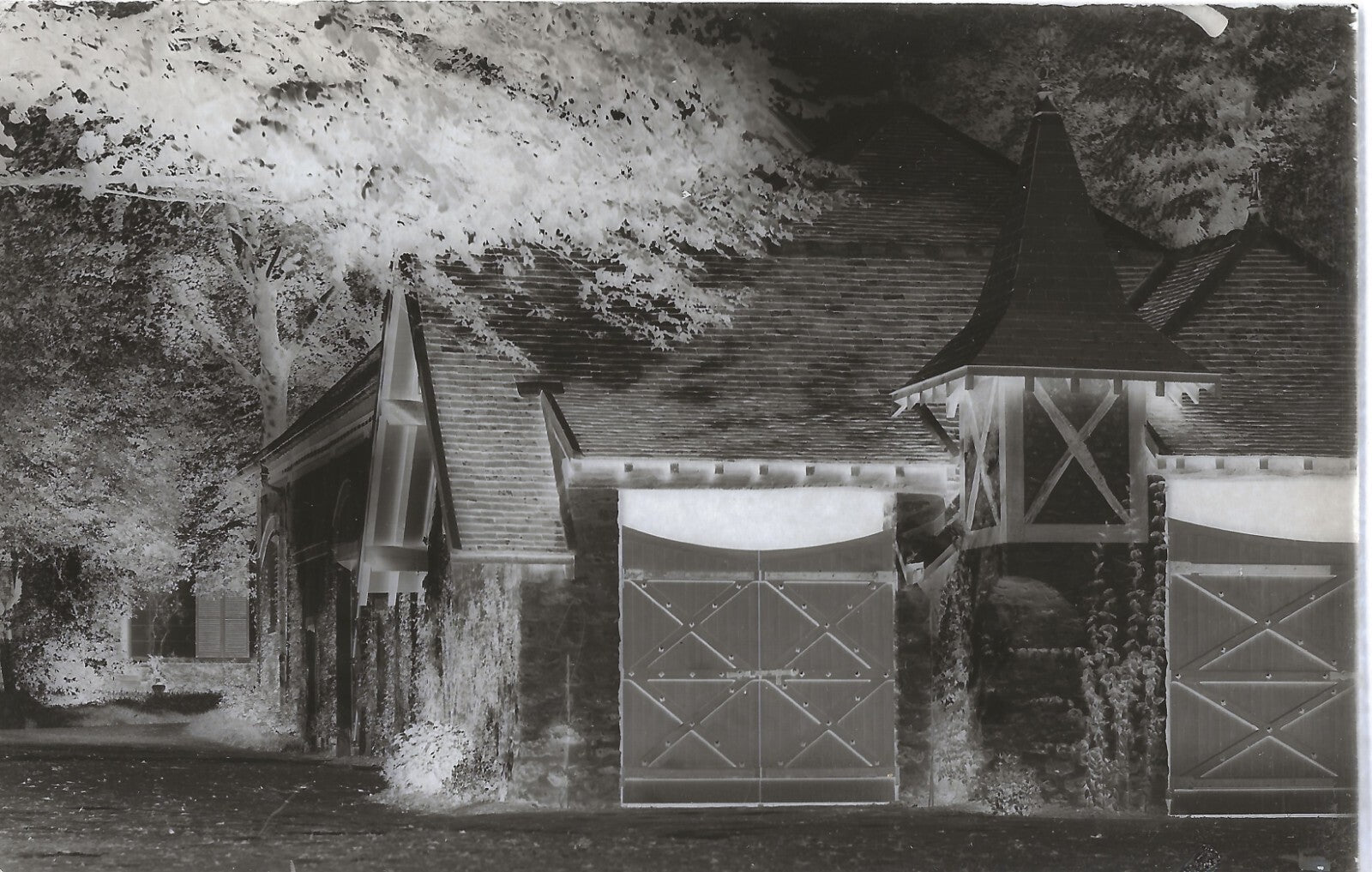 Plaque verre photo ancienne négatif 9x14 cm, noir et blanc château arbre portail
