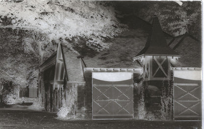 Plaque verre photo ancienne négatif 9x14 cm, noir et blanc château arbre portail