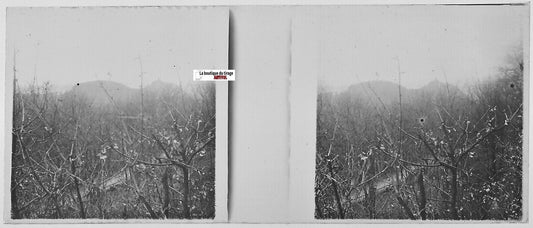 Paysage, campagne, Plaque verre photo stéréo, positif noir & blanc 4,5x10,7 cm