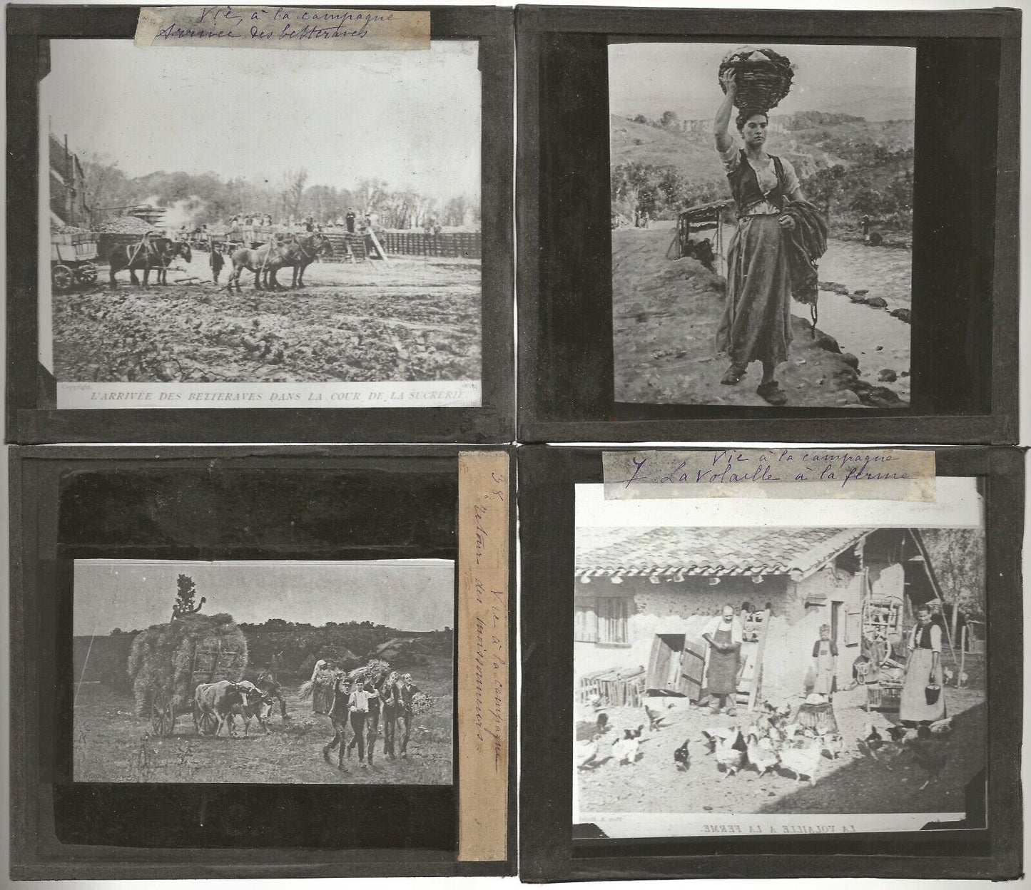 Vie à la campagne, Neuville, photos plaques de verre, lot 10 positifs 8,5x10 cm