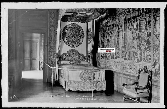 Plaque verre photo, négatif noir & blanc 9x14 cm, château de Pau, Louis XIV