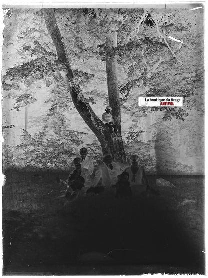 Famille, forêt arbre, Plaque verre photo ancienne, négatif noir & blanc 9x12 cm