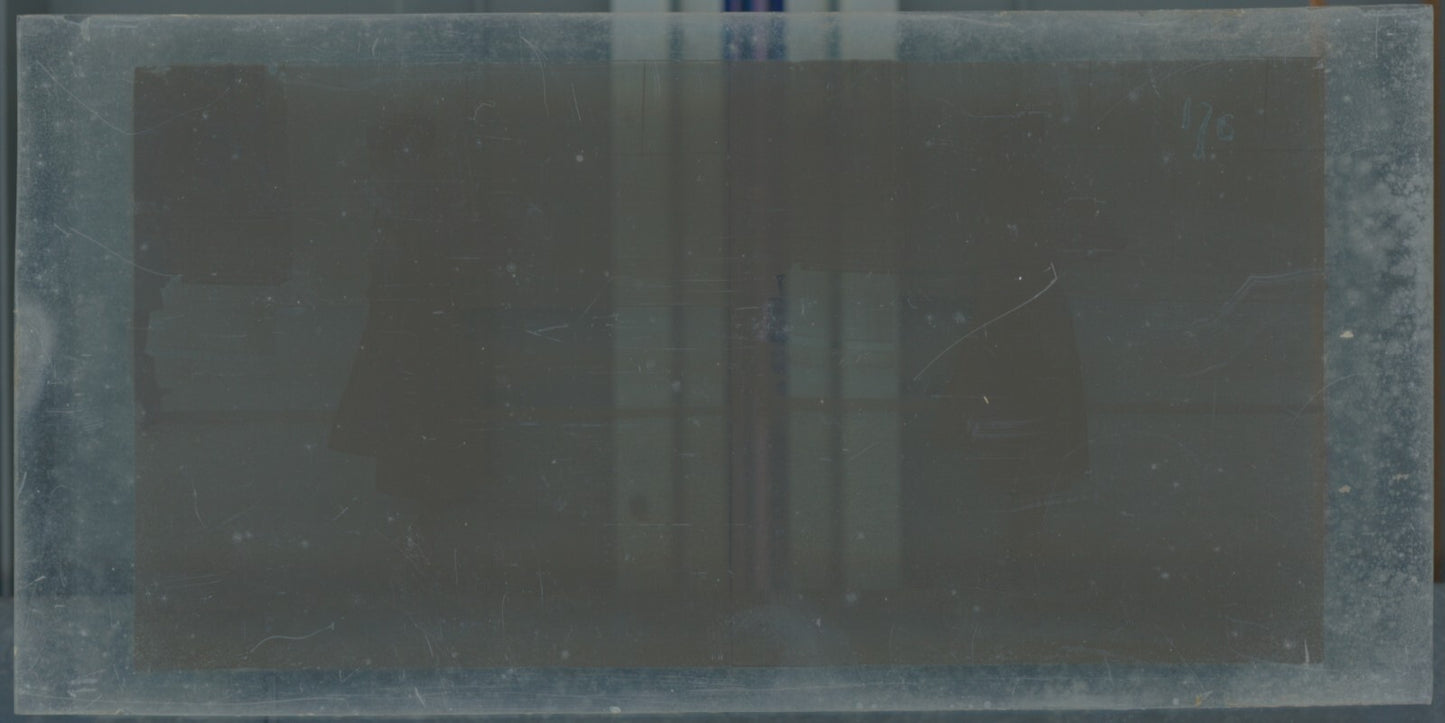 Hippodrome de Longchamp, Paris, stéréoscopie plaque verre, positif 8,5x17 cm