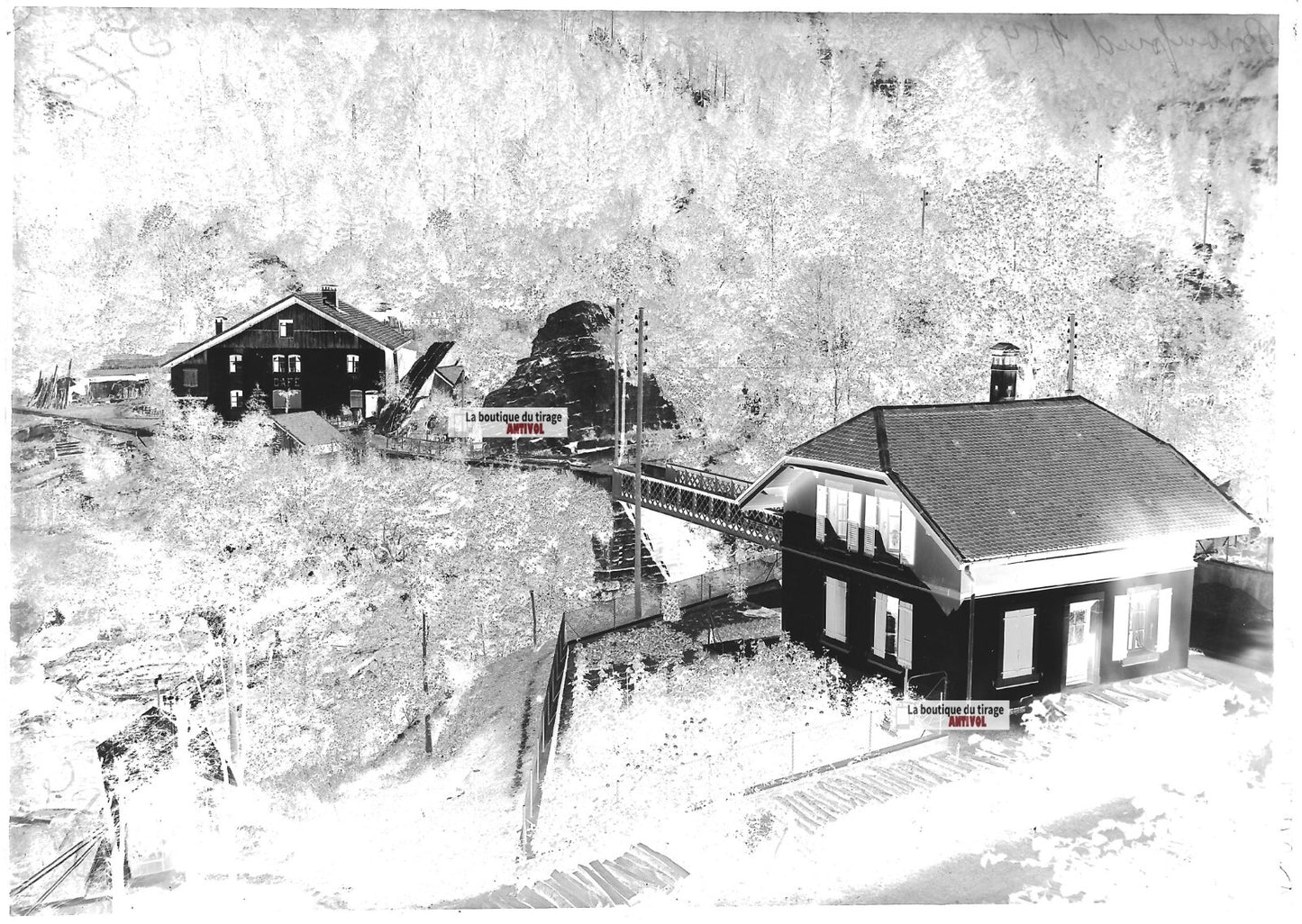 Plaque verre photo ancienne négatif noir et blanc 13x18 cm Lac de Biaufond eau