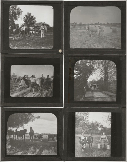 Travaux agricoles, France, photos plaques de verre, lot de 10 positifs 8,5x10 cm