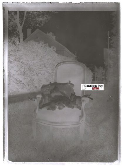 Bébé, enfant, France, Plaque verre photo ancienne, négatif noir & blanc 6x9 cm