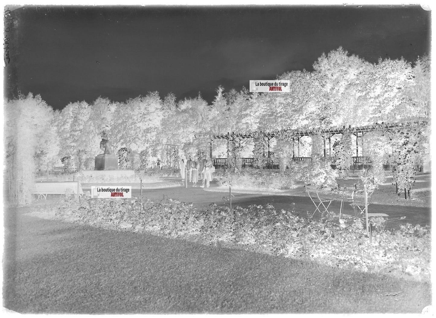 Plaque verre photo ancienne négatif noir et blanc 13x18cm parc public Vittel