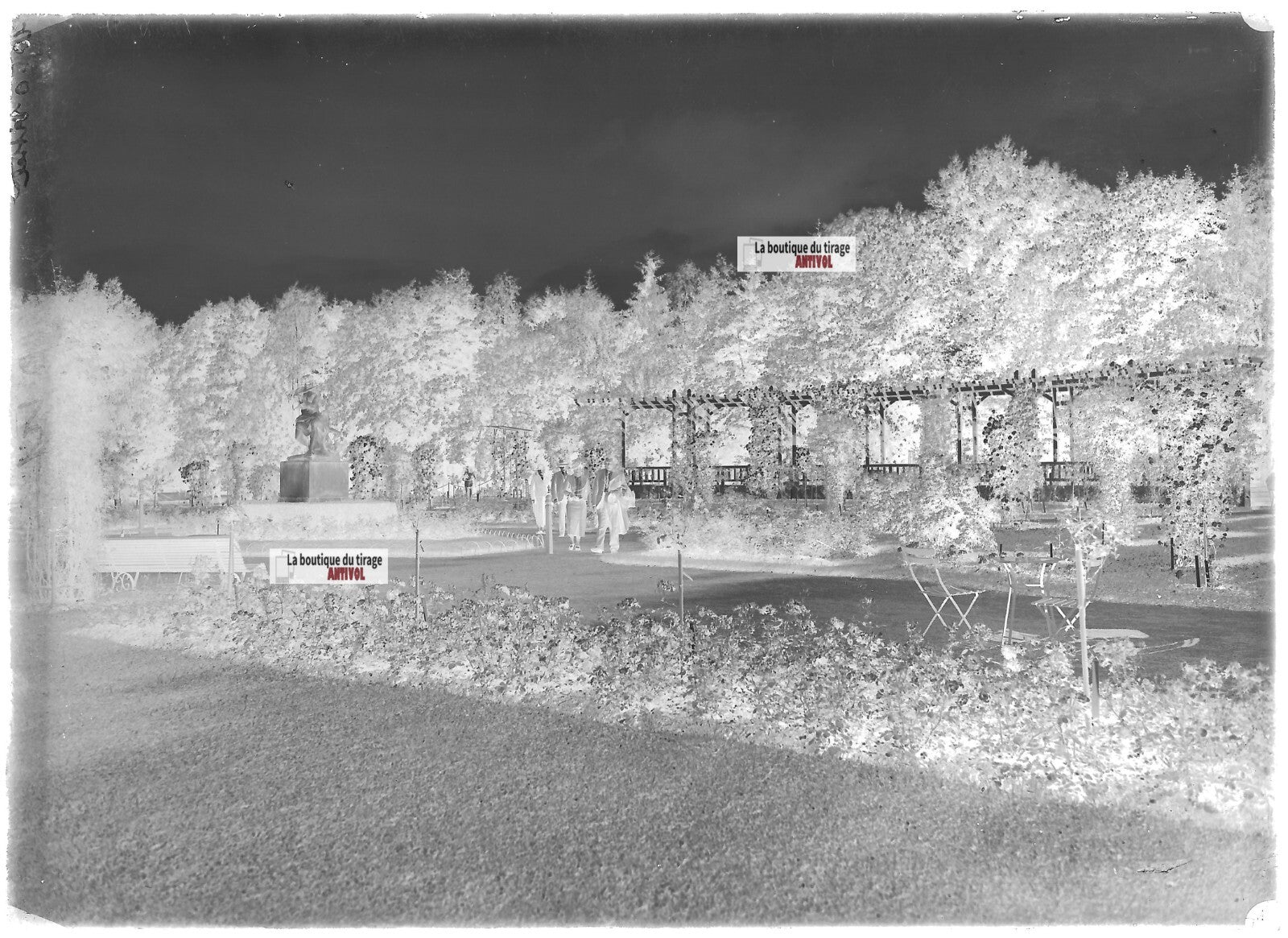 Plaque verre photo ancienne négatif noir et blanc 13x18cm parc public Vittel