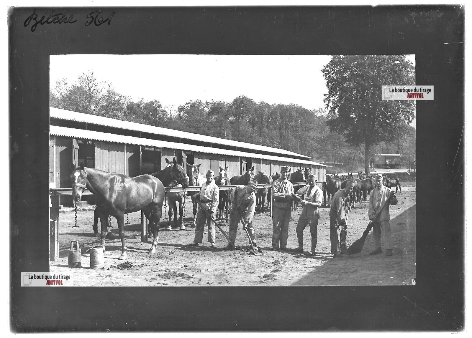 Camp Bitche, soldats, photos plaque de verre, lot de 5 positifs 13x18 cm