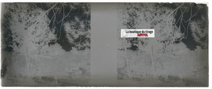 Campagne, nature, Plaque verre stéréoscopie, négatif noir & blanc 4,5x10,7 cm