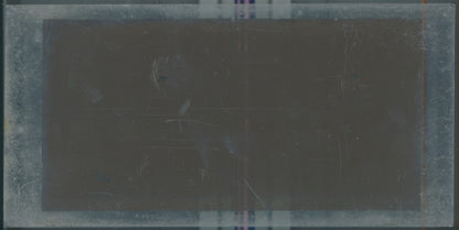 Scène de vie, Longchamp, Paris, plaque verre stéréoscopique, positif 8,5x17 cm