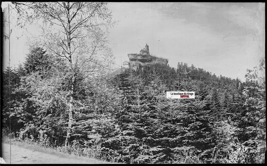 Plaque verre photo, négatif noir & blanc 9x14 cm, Dabo, Chapelle, bois et forêt